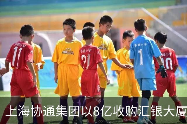 上海协通集团以8亿收购汇银大厦
