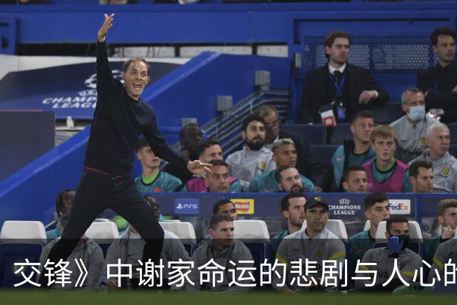 交锋》中谢家命运的悲剧与人心的复杂