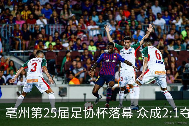 亳州第25届足协杯落幕 众成2:1夺冠
