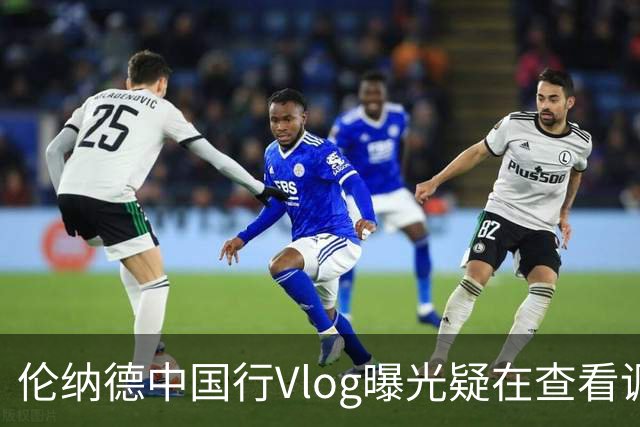 伦纳德中国行Vlog曝光疑在查看调查相关信息
