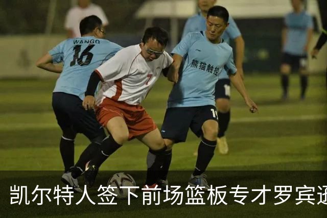 凯尔特人签下前场篮板专才罗宾逊 强化控球能力