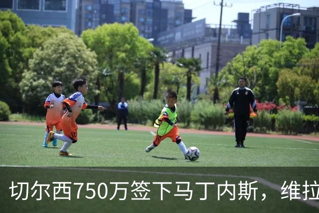 切尔西750万签下马丁内斯，维拉调整阵容腾出薪资