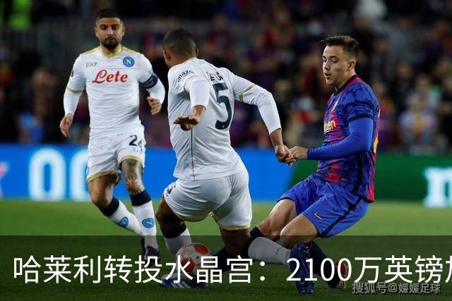 哈莱利转投水晶宫：2100万英镑加盟