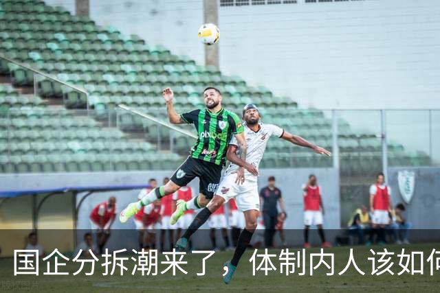 国企分拆潮来了，体制内人该如何应对