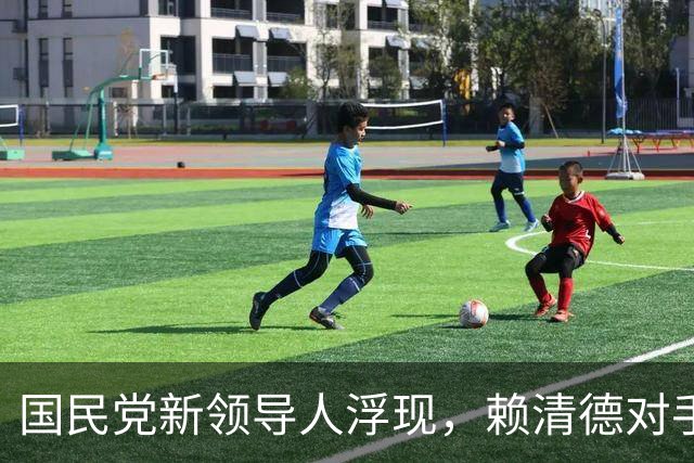 国民党新领导人浮现，赖清德对手郑丽文明确两岸立场