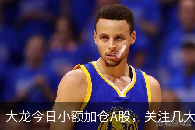 大龙今日小额加仓A股，关注几大方向