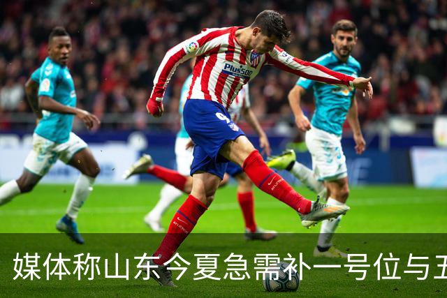 媒体称山东今夏急需补一号位与五号位