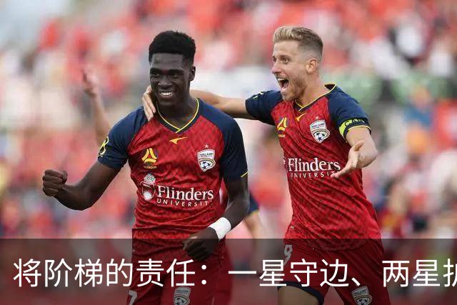 将阶梯的责任：一星守边、两星护域、三星定国