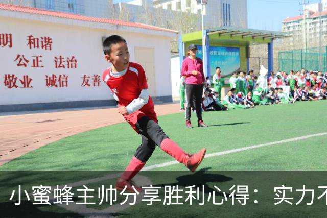小蜜蜂主帅分享胜利心得：实力不能仅看金钱