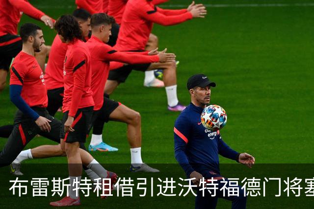 布雷斯特租借引进沃特福德门将塞尔维克
