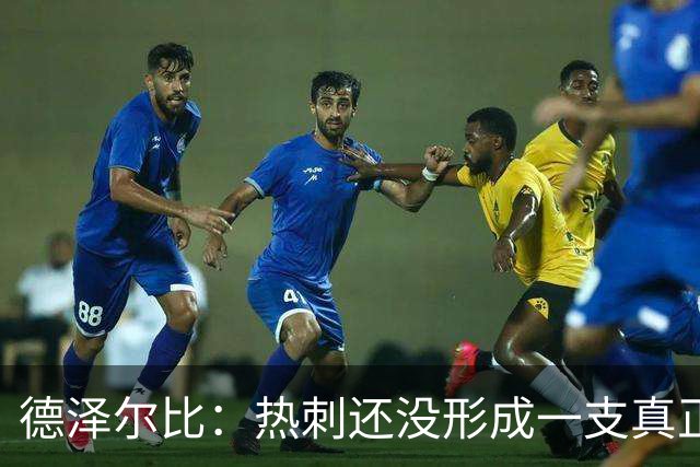 德泽尔比：热刺还没形成一支真正的球队