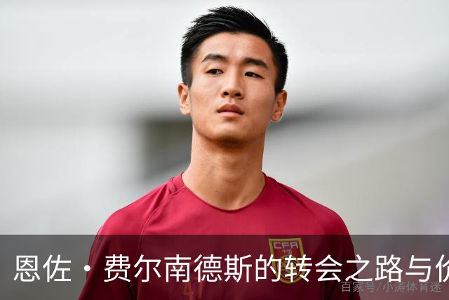 恩佐·费尔南德斯的转会之路与价值分析