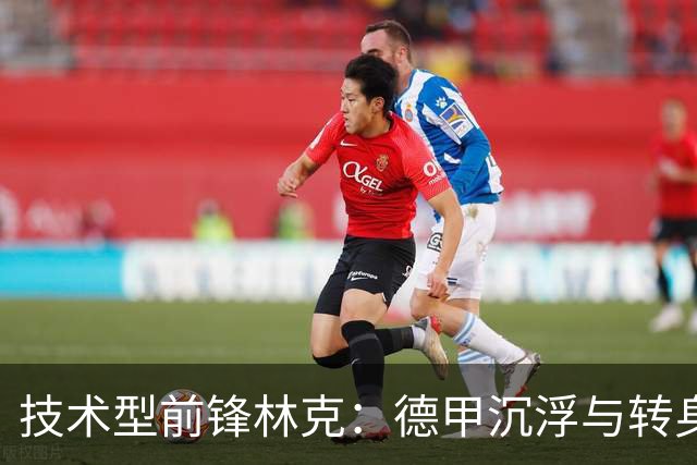 技术型前锋林克：德甲沉浮与转身从政