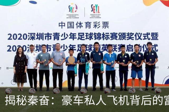 揭秘秦奋：豪车私人飞机背后的富二代传奇