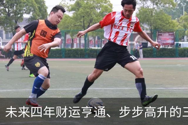 未来四年财运亨通、步步高升的三大生肖