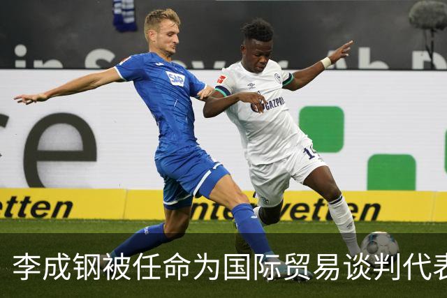 李成钢被任命为国际贸易谈判代表