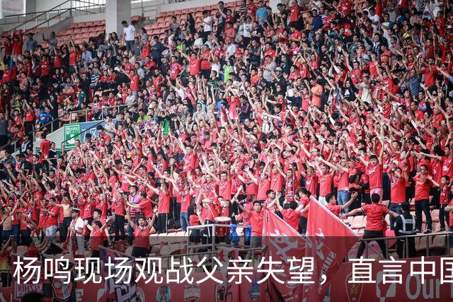 杨鸣现场观战父亲失望，直言中国男篮面临巨大困境