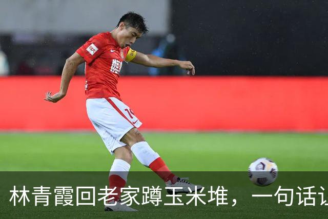 林青霞回老家蹲玉米堆，一句话让人感动不已