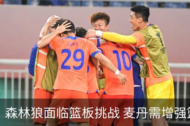 森林狼面临篮板挑战 麦丹需增强篮板保障