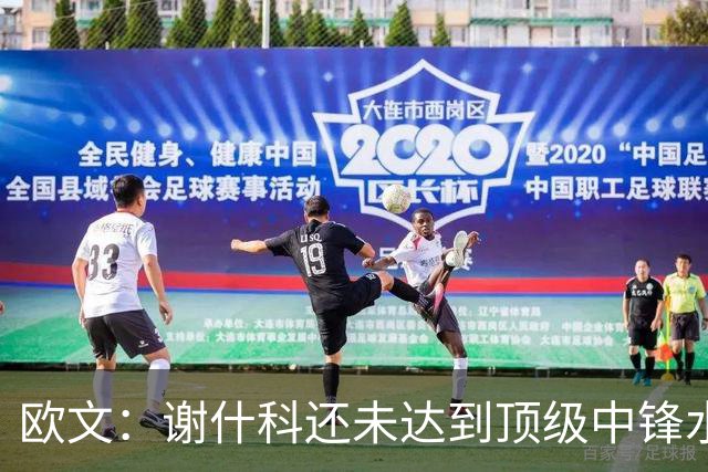 欧文：谢什科还未达到顶级中锋水平