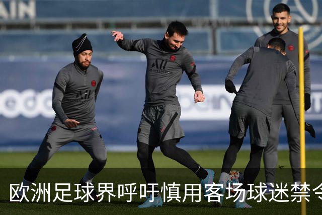 欧洲足球界呼吁慎用客场球迷禁令