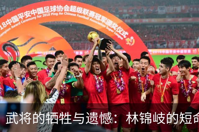 武将的牺牲与遗憾：林锦岐的短命人生