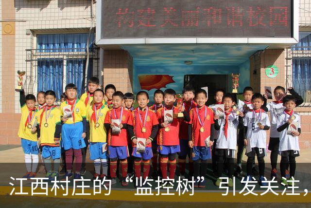 江西村庄的“监控树”引发关注，实则仅一台可用