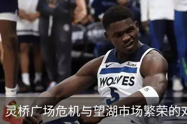 灵桥广场危机与望湖市场繁荣的对比解析