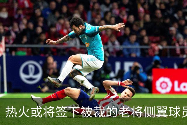 热火或将签下被裁的老将侧翼球员康查尔