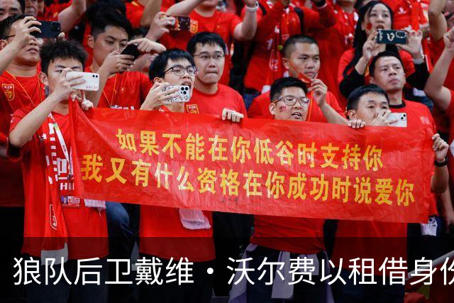 狼队后卫戴维·沃尔费以租借身份加入汉堡