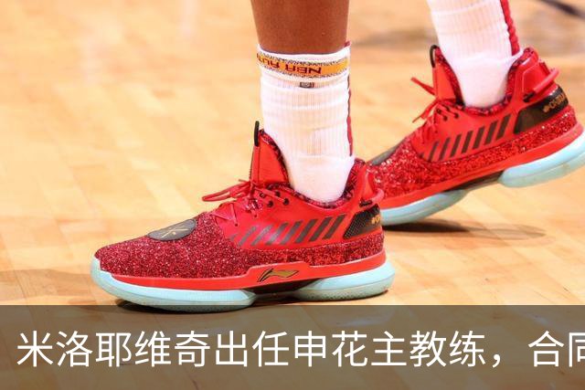 米洛耶维奇出任申花主教练，合同至2028年底