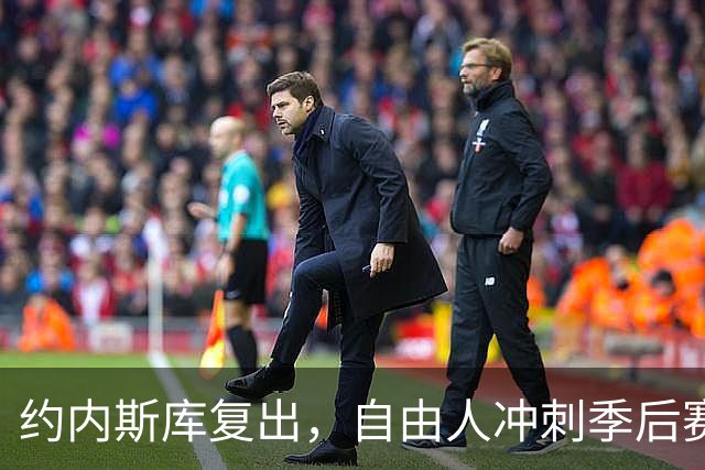 约内斯库复出，自由人冲刺季后赛力争三连胜