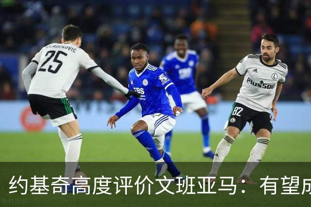 约基奇高度评价文班亚马：有望成史上最伟大