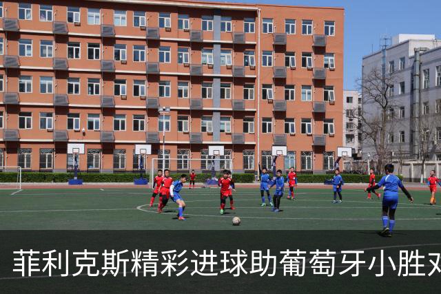 菲利克斯精彩进球助葡萄牙小胜对手