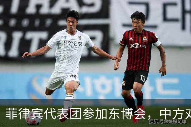 菲律宾代表团参加东博会，中方对南海问题明确立场