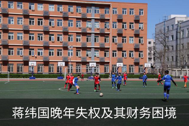 蒋纬国晚年失权及其财务困境
