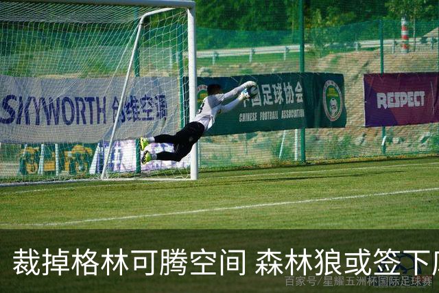 裁掉格林可腾空间 森林狼或签下库明加