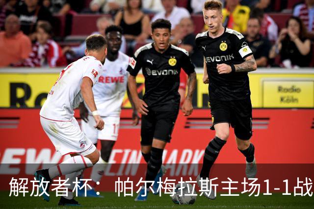 解放者杯：帕尔梅拉斯主场1-1战平波特诺山丘
