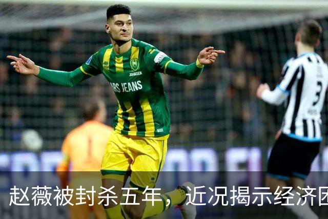 赵薇被封杀五年，近况揭示经济困境与人际关系破裂
