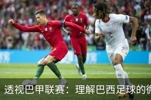 透视巴甲联赛：理解巴西足球的微观世界