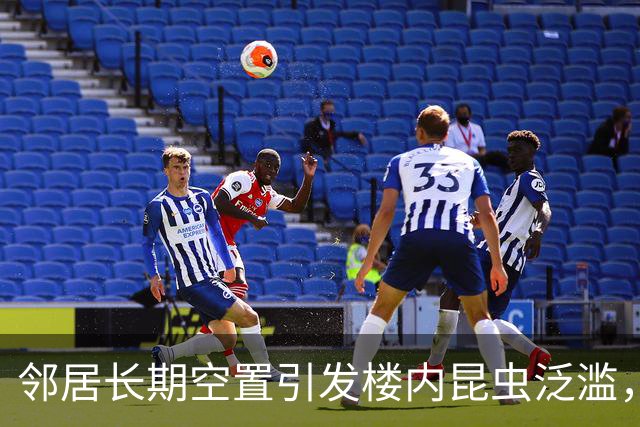 邻居长期空置引发楼内昆虫泛滥，居民生活受影响