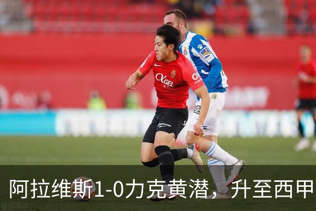 阿拉维斯1-0力克黄潜，升至西甲榜首