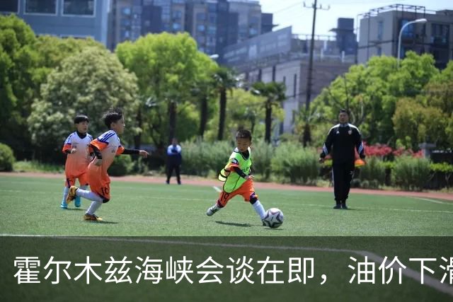 霍尔木兹海峡会谈在即，油价下滑