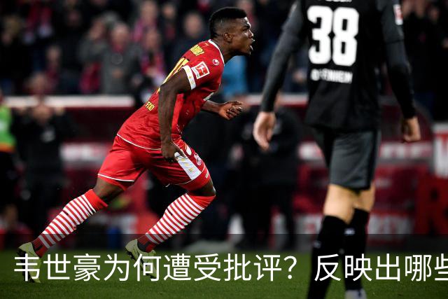 韦世豪为何遭受批评？反映出哪些问题？