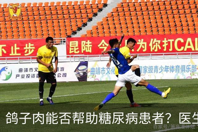 鸽子肉能否帮助糖尿病患者？医生解析其影响
