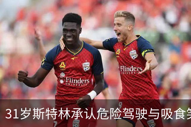 31岁斯特林承认危险驾驶与吸食笑气被告